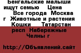 Бенгальские малыши ищут семью) › Цена ­ 5 500 - Все города, Москва г. Животные и растения » Кошки   . Татарстан респ.,Набережные Челны г.